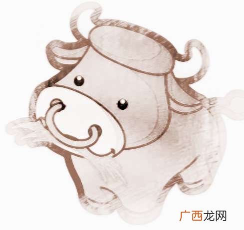 2009年属什么生肖,2009年属牛几岁了？