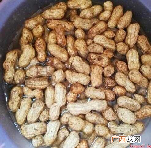 嫩嫩的花生汁多好吃,而且花生的营养价值高 煮花生怎么煮
