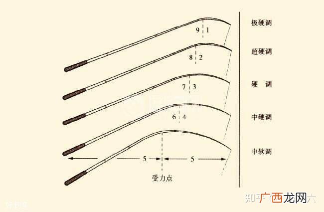 鱼竿28调是什么意思,手竿28调性什么意思？