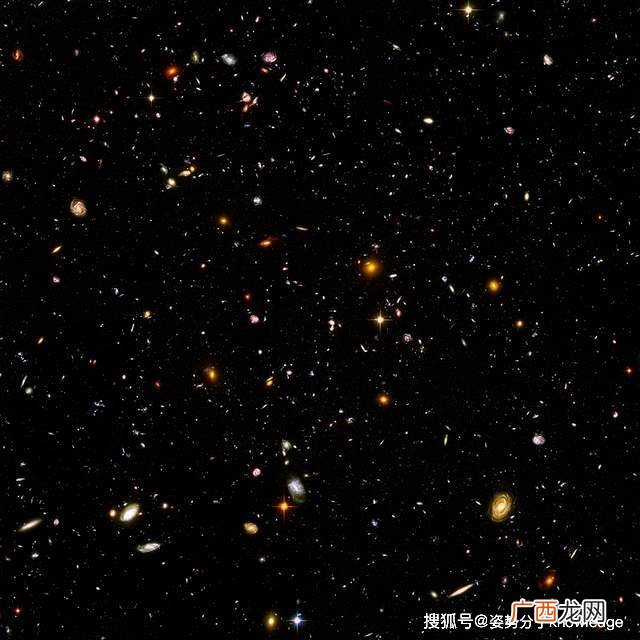 什么叫分形结构,什么是林分形数？
