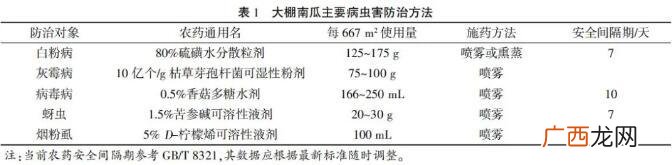 稻菜轮作有哪些好处,冷棚的番瓜种植与管理?