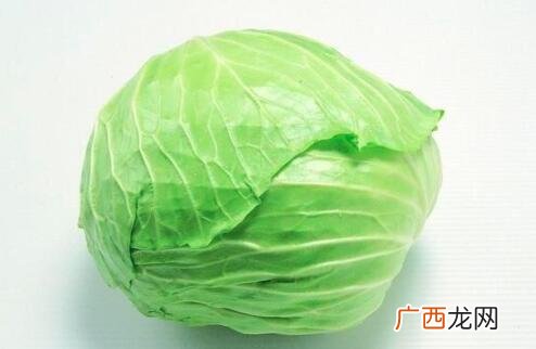 紫包菜和普通包菜的区别