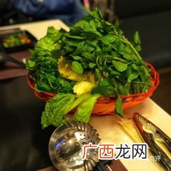 香港菜怎么样,广东菜跟香港菜像么？