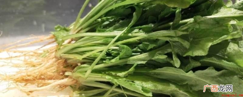 荠菜是寒性。可从植物生长自然环境了解,因荠菜归属于抗寒性 荠菜是凉性还是热性