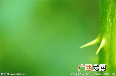 绿色有哪几种绿,深绿色是什么色和什么色合成的？