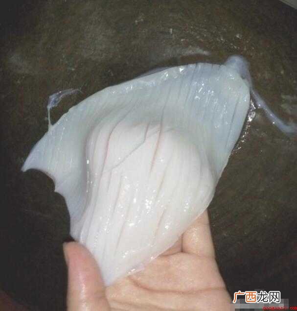 鱿鱼比鱼更好处理,但是对于不靠海少吃海鲜的人来说,还不知道鱿