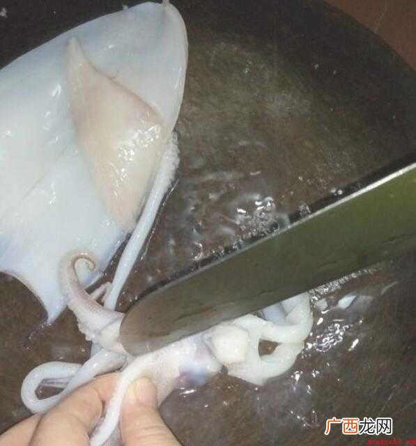 鱿鱼比鱼更好处理,但是对于不靠海少吃海鲜的人来说,还不知道鱿
