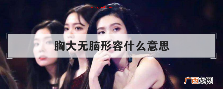 胸大无脑代表什么意思? 胸大无脑形容什么意思