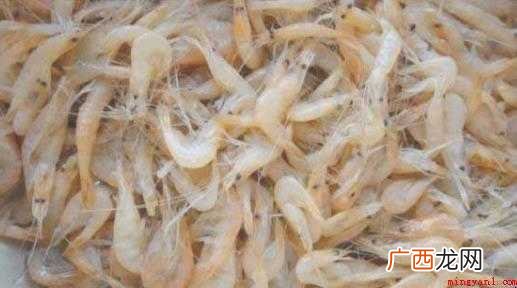 小虾米怎么做好吃