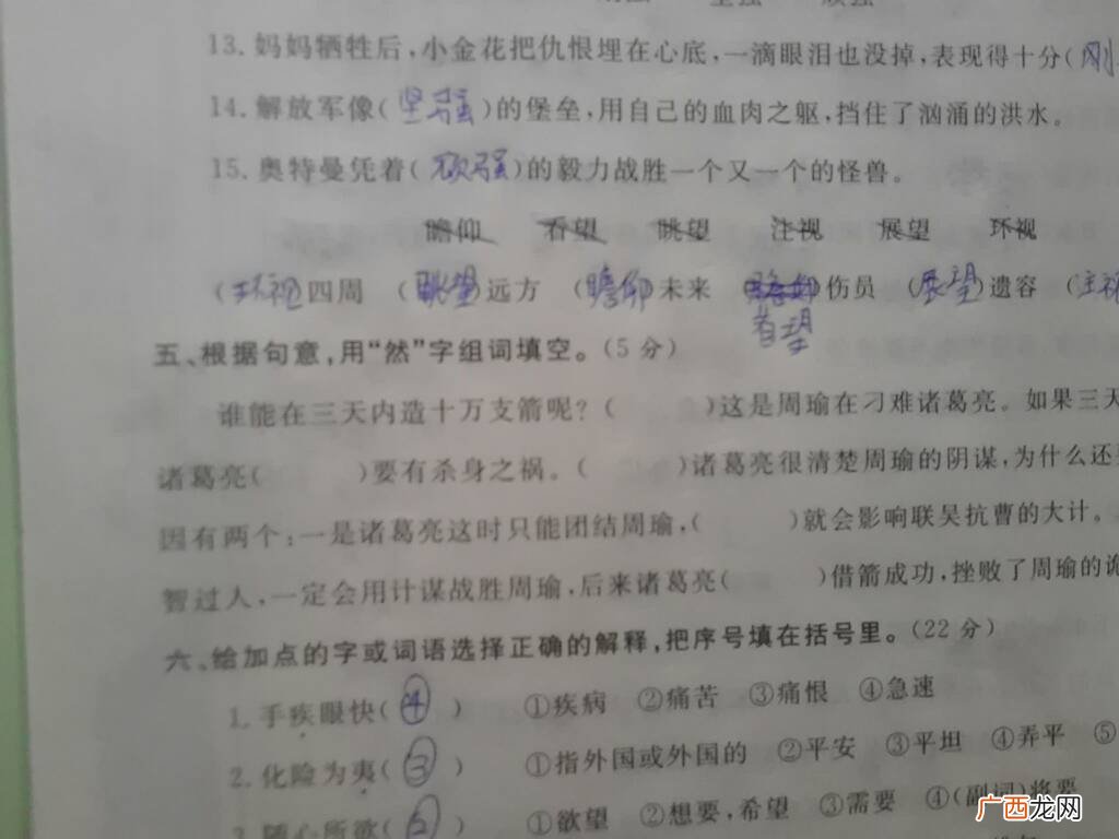 用伍字组词,伍组词有哪些词语？