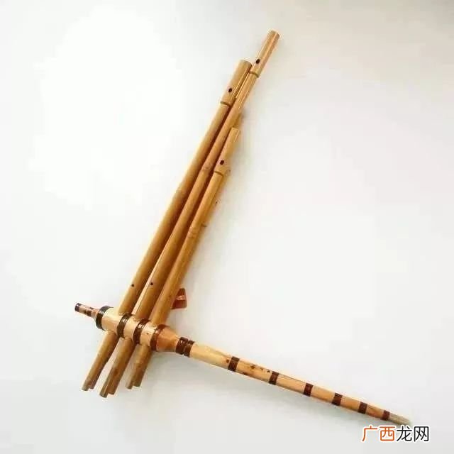 芦笙是哪个民族的乐器,芦笙不属于什么民族乐器？