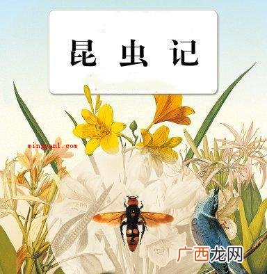 昆虫记第一章节目录蝉和蚂蚁的寓意故事 昆虫记每章节的主要内容是什么？