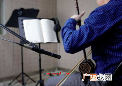 内弦 简略回应二胡有二根弦,一根是粗弦 二胡有几根弦