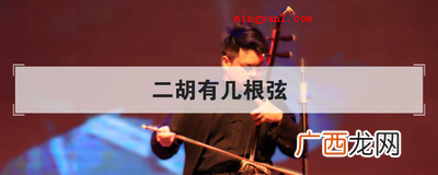 内弦 简略回应二胡有二根弦,一根是粗弦 二胡有几根弦