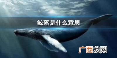 鲸落什么意思,鲸落和鲸鱼有啥区别？