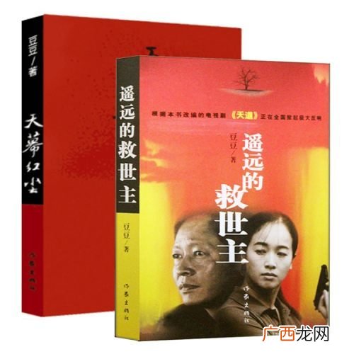 谁有作家豆豆的详细简介,豆豆为啥能写出天道？