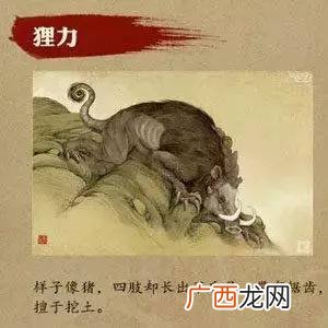 猿猴长什么样子,形容猿猴的词？