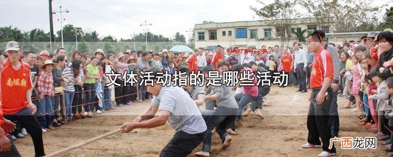 文体活动分成文艺活动和体育活动 文体活动指的是哪些活动