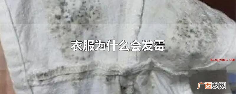 衣服会起霉关键有两个缘故 衣服为什么会发霉