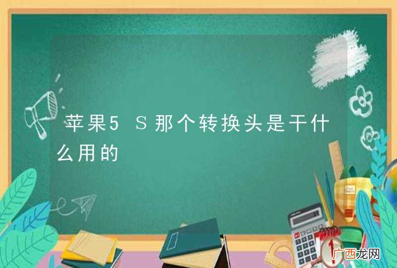 苹果5Ｓ那个转换头是干什么用的