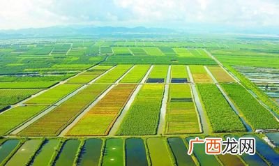 农业一二三产业是什么,一二三产业产值计算方法？