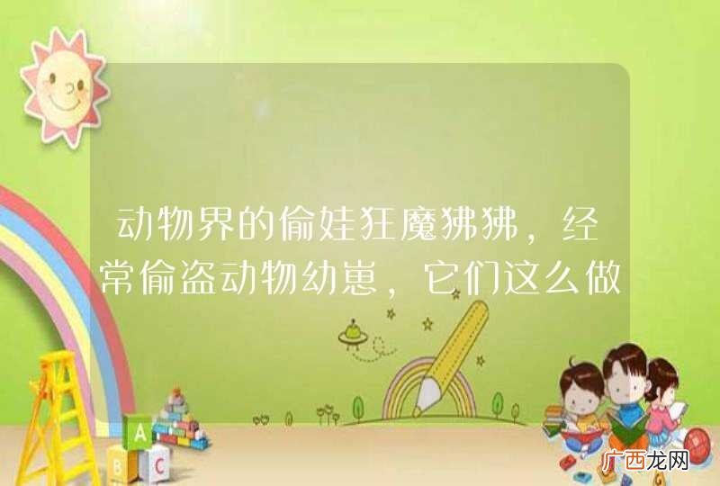 动物界的偷娃狂魔狒狒,经常偷盗动物幼崽,它们这么做的原因是什么?