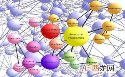 生物信息学是什么,生物信息的种类怎么区分？