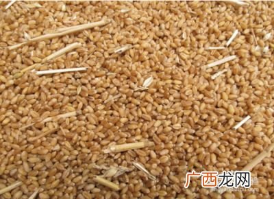 大麦的功效,中国大麦的主要产地？