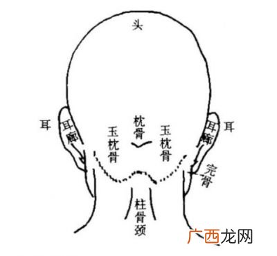 反骨是什么,人后脑勺长反骨有什么寓意?