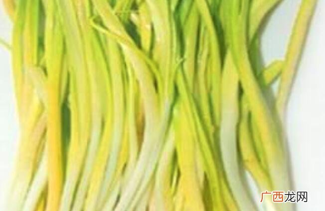 蒜黄和韭菜的营养价值区别 蒜黄和韭菜的区别