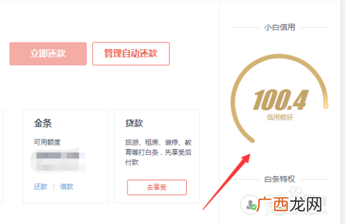 京东白条开通失败原因有哪些,为什么京东白条激活不了呢？