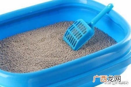 猫咪打喷嚏是怎么回事,猫打喷嚏是怎么回事？