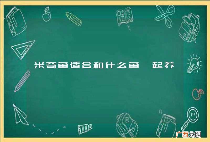 米奇鱼适合和什么鱼一起养