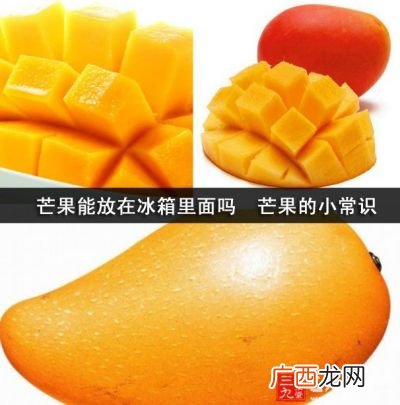 芒果能放冰箱吗,芒果可以放冰箱吗？