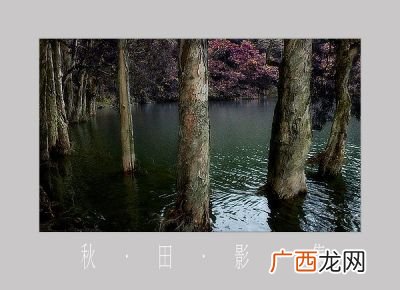 水生木吗,什么东西具有水的属性？