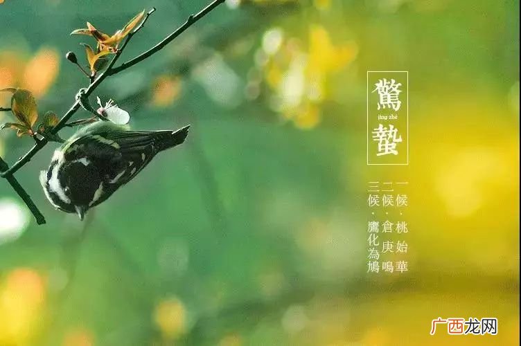 春雷响下一句谚语,虎年种地谚语？