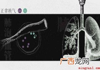 为何百草枯会变成致命杀手 百草枯毒性到底多大