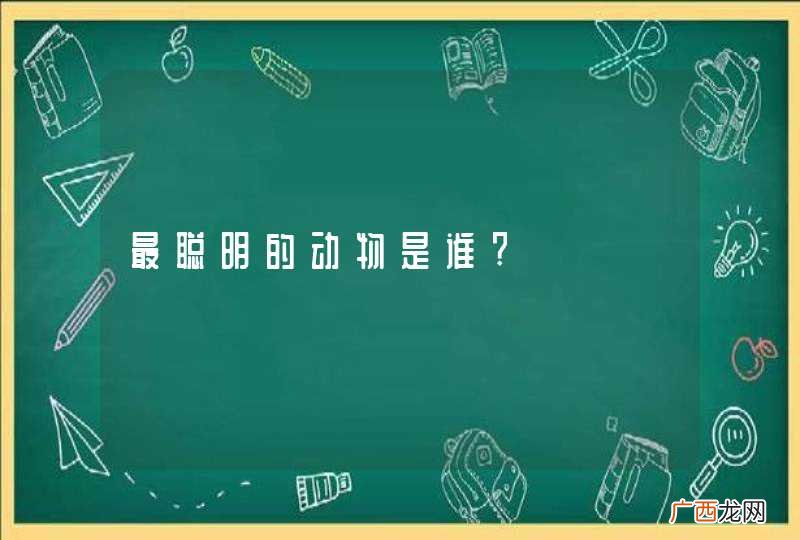 最聪明的动物是谁?