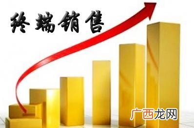 终端业务员是什么意思,终端工作是什么意思？