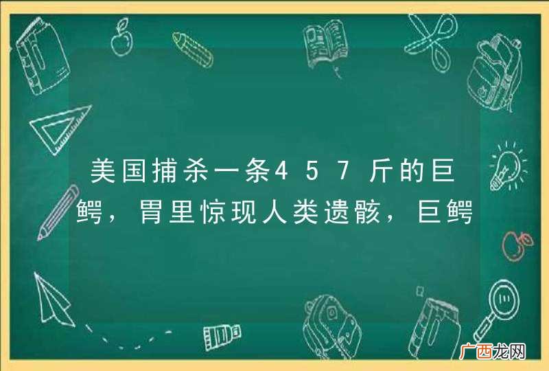美国捕杀一条457斤的巨鳄，胃里惊现人类遗骸，巨鳄为何会伤人？