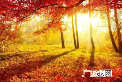 我冒着暴雨跑回家,真是成了一个 用“成了”可以写哪些比喻句?