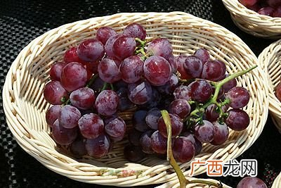 乒乓葡萄和巨峰葡萄的区别,藤引葡萄与巨峰口感的区别？