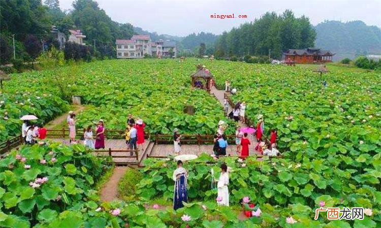 简略回应源源不断中的绝是:断、穷尽的意思,络绎不绝是形容路 络绎不绝的绝是什么意思