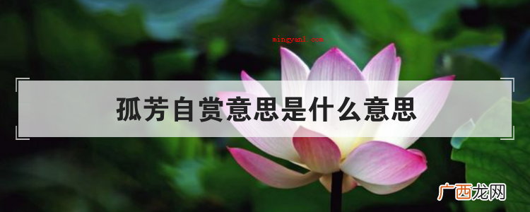 简略回应与世无争指的是别人很自命清高 孤芳自赏意思是什么意思