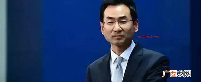 耿爽辞掉外交人员的职位 耿爽为啥离任？