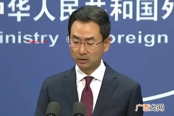 耿爽辞掉外交人员的职位 耿爽为啥离任？