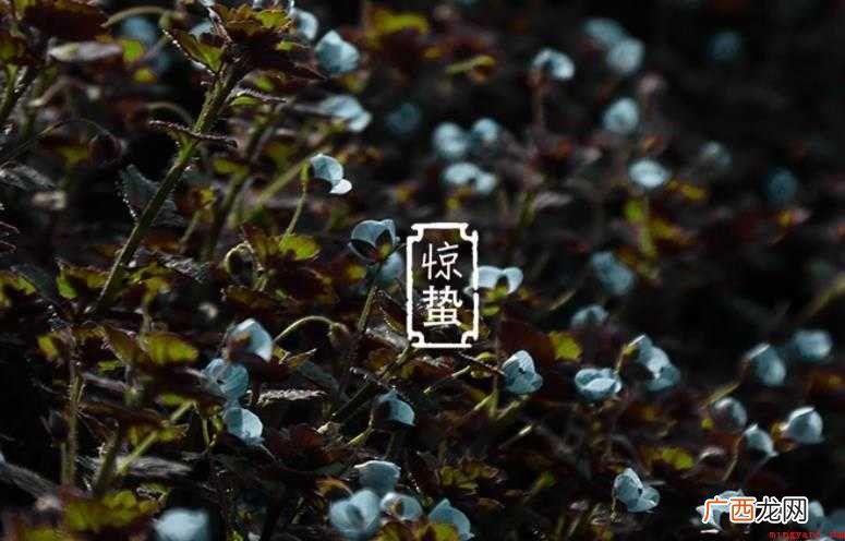 惊蛰历史渊源有哪些