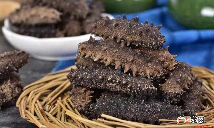 海参什么季节吃比较好