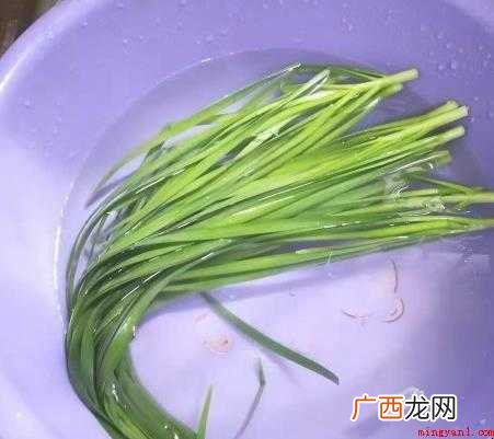 煎饺子的做法是什么 男人介绍这里 煎饺子的做法是什么
