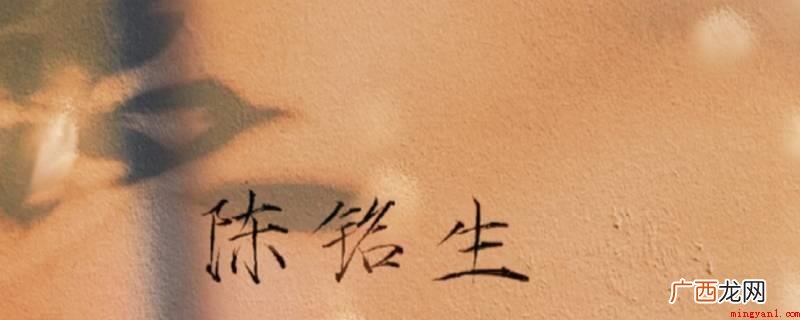 陈铭生最终葬在沈阳,他也有另一个真实身份 陈铭生最后葬在哪里